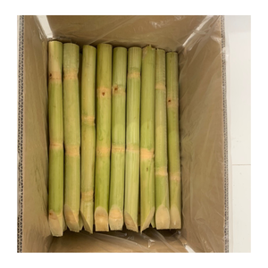 Bâtonnets pelés de canne à sucre congelée IQF en vrac canne à sucre congelée prête pour jus smoothies et cocktails - Product Image 3