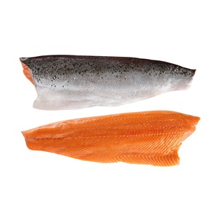 Filetes de Salmón Rosado Congelados - Proveedor Mayorista de Filetes de Salmón Rosado - Product Image 4