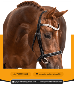 Bandas de alta calidad Princess Wave en negro Material de cuero a precio de fábrica al por mayor directo del proveedor - Product Image 5