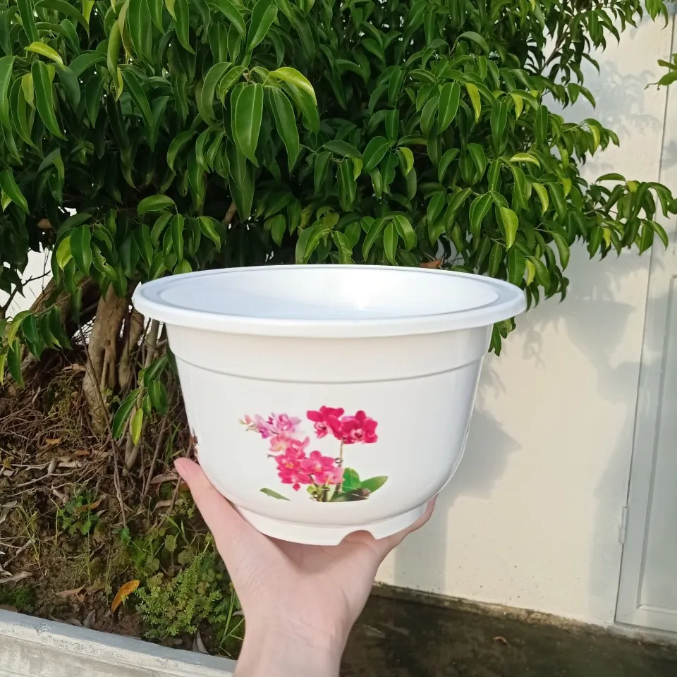 Vaso di plastica per BONSAI all'ingrosso stampato con motivo floreale vaso per piante di forma rotonda bianco normale