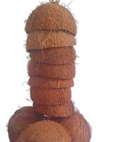 Bols ovales en bois brut, écologiques et luxueux |   Bol à dîner artisanal naturel |   Vaisselle durable en gros pour les fêtes