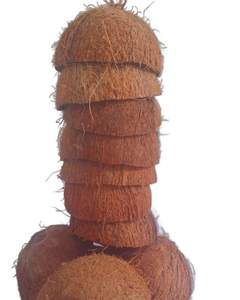 Tazones Ovalados de Cáscara de Coco Cruda, Orgánicos y Ecológicos |   Tazón de Comedor Hecho a Mano Natural |   Vajilla Sostenible al por Mayor - Product Image 2