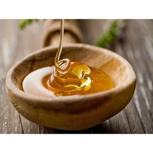 MALTOSE DU VIETNAM DE QUALITÉ SUPÉRIEURE/SIROP NATUREL/HAUTE VISCOSITÉ/PRÊT POUR L'APPLICATION ALIMENTAIRE - Product Image 6