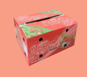 Cajas de papel rectangulares corrugadas plegables OEM con tratamiento UV para el envío de la agricultura-Materiales reciclados de embalaje de fruta de dragón - Product Image 2