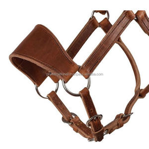 Licou de cheval en cuir anatomique fait à la main avec double boucle et anneau nickelés élégants. - Product Image 3