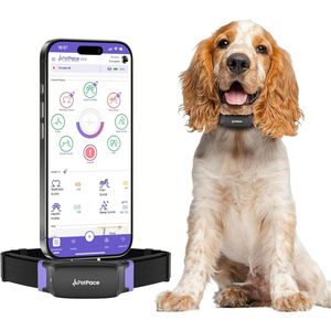 Collar Inteligente PetPace V3.0 con IA para Perros, Monitorización de Signos Vitales 24/7, GPS, Telemedicina y AskaVet Share, Monitor de Salud Canina - Product Image 1