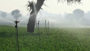 Wholesale Supply Automatic Rotating <b>Garden</b> Irrigation Mini <b>Sprinklers</b> <b>for</b> Irrigation From Indian Supplier <b>for</b> Bulk Export - Product Image 6