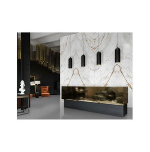 Azulejos de losa de porcelana modernos clásicos de diseño personalizado disponibles en diferentes patrones y colores para pedidos de tamaño personalizado - Product Image 2