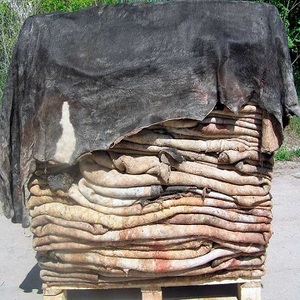 Peaux d'ânes salées et séchées à vendre - Product Image 1