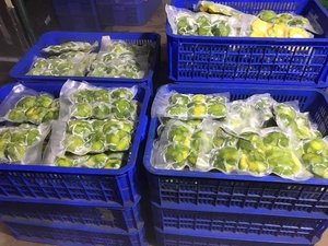 Aguacates Congelados IQF Premium en Mitades, Cubos y Rebanadas de Vietnam - Product Image 2