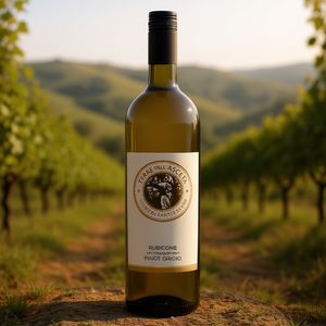 "Authentic Italian Pinot Grigio Rubicone IGT White <b>Wine</b> 750ml 6 Bottles Crisp & Modern Italy Made" - Product Image 3