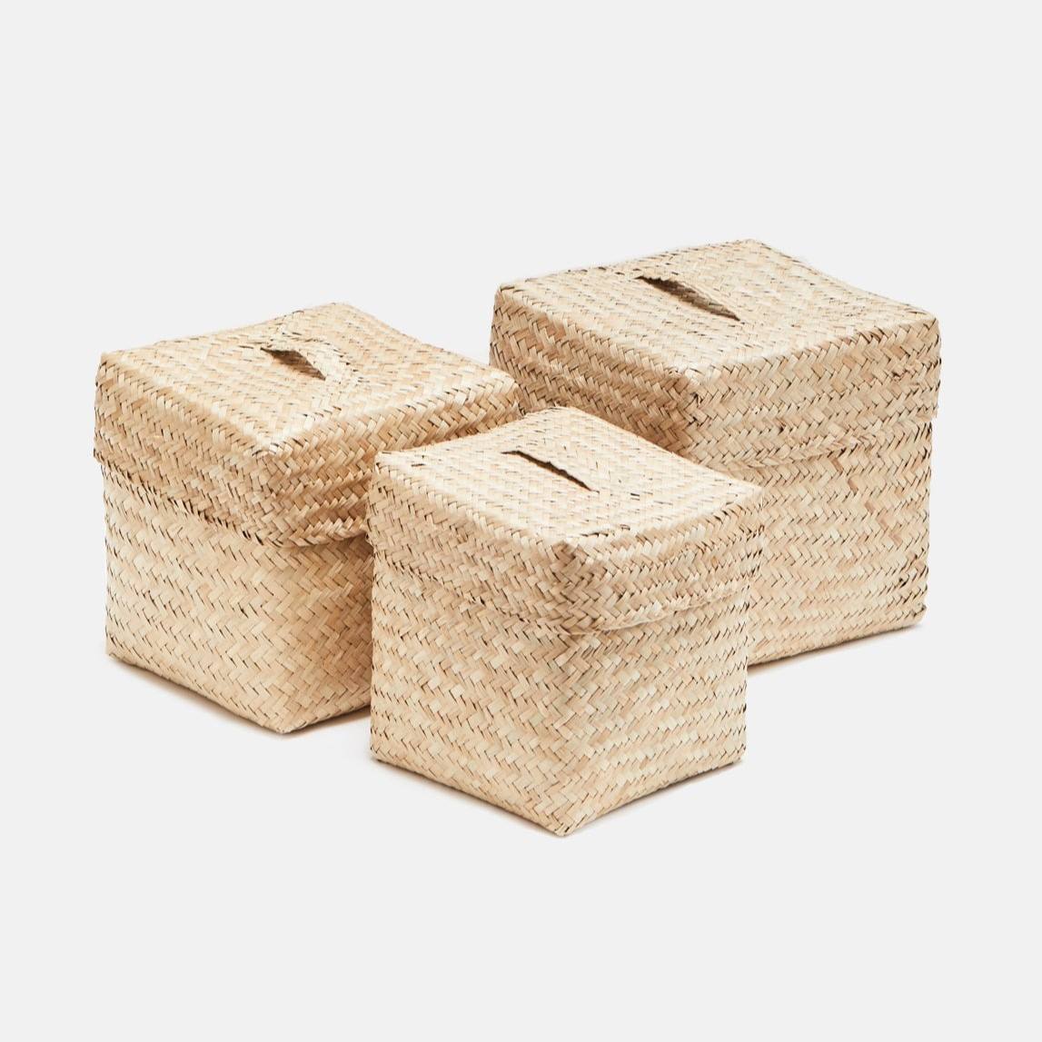 ธรรมชาติ