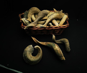 Real Dried <b>Water</b> Buffalo Horn Chew <b>Toys</b> Carved Natural Pet Food Treats for <b>Dogs</b> Nautical Daily Use Ram/Sheep Horn <b>Dog</b> Chews - Product Image 5