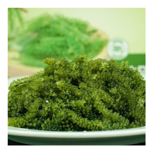 สาหร่ายทะเลแห้งจากเวียดนาม ขายส่งจาก 99D พร้อมเนื้อสัมผัสแห้งที่สม่ำเสมอ เหมาะสำหรับการสั่งซื้อจำนวนมากและการร่วมงานระยะยาว - Product Image 1