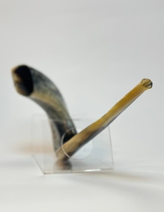 Tamaño personalizado Kosher Shofar pulido Israel Kudu cuerno ecológico Natural oveja cuerno artesanía RAM cuerno Shofar para la venta - Product Image 1