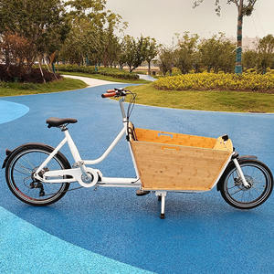 Vélo <span class=keywords><strong>cargo</strong></span> électrique à deux roues pour bébé avec batterie au lithium, vélo familial - Product Image 3