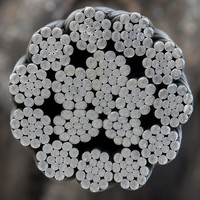 Kawat Baja Karbon Tinggi Galvanis 5mm 7x19 Grade 70 #   SOLITE untuk Penggantian Peralatan Kebugaran Kekuatan Tinggi Ketahanan Tinggi