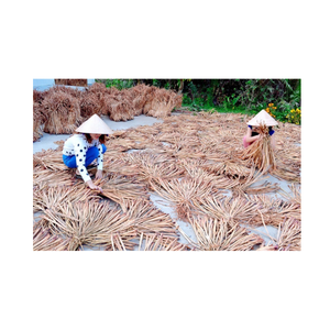 Bale de jacinto de agua de alta calidad/materiales de jacinto de agua natural seco Cuerda trenzada de Vietnam con precio barato - Product Image 5