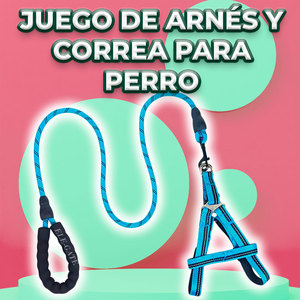 Kit Guinzaglio e Pettorina di Lusso per Cani di Taglia Media, Personalizzabile, in Poliestere a Righe o Tinta Unita, Modello Semplice per Uso Esterno, Taglie Grandi e XL - Product Image 3