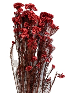 ขายส่งจากโรงงาน หญ้าแพมพัสธรรมชาติและดอกไม้แห้ง สำหรับตกแต่งในเทศกาลคริสต์มาสและฮาโลวีน - Product Image 2