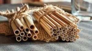 Pailles à boire en bambou naturel réutilisables du Vietnam, durables, écologiques, vente en gros - Product Image 3