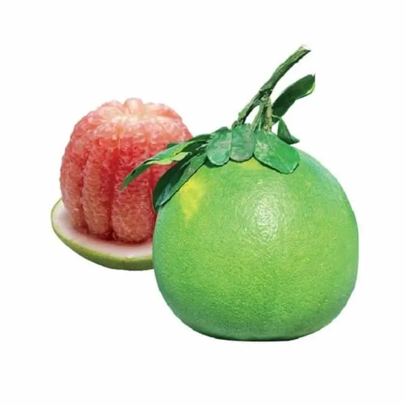 Green skin citrus grapefruit Vietnam Origin Type Full Size Grade Product Fresh Fruit pomelo red flesh ready to export