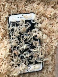 Camarón bebé seco (Jawla) variedad Tamaño 250g paquete sin químicos 100% - Product Image 5