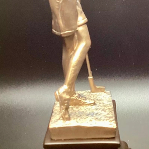 Premio Trofeo de Oro-Grabado personalizado-Inserto personalizado - Product Image 1