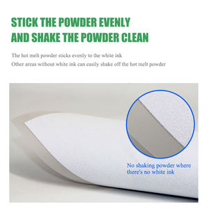 <span class=keywords><strong>Film</strong></span> spécial PET de transfert de chaleur 60cm 30cm rouleau de <span class=keywords><strong>film</strong></span> DTF argenté réfléchissant à peau froide - Product Image 5