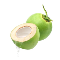 Groene Kokosnoot-Verse Jonge Brix 7 - 9 Hoogwaardige Oorsprong Ben Tre Viet Nam Exportproducten 100% Natuurlijke Zoete Kokosnoot