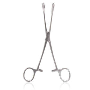 Disposable <b>Sponge</b> Holding Forceps 18cm, Rampley <b>Sponge</b> Holding Forceps Surgical Holding Veterinary <b>Sponge</b> Forceps - Product Image 1