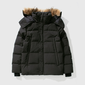 Veste matelassée à capuche pour femme, hiver, avec col en fourrure, vente en gros, taille plus, veste gonflante - Product Image 1