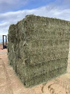 Foin de luzerne | Foin de luzerne à haute teneur en protéines pour l'alimentation animale - Product Image 3