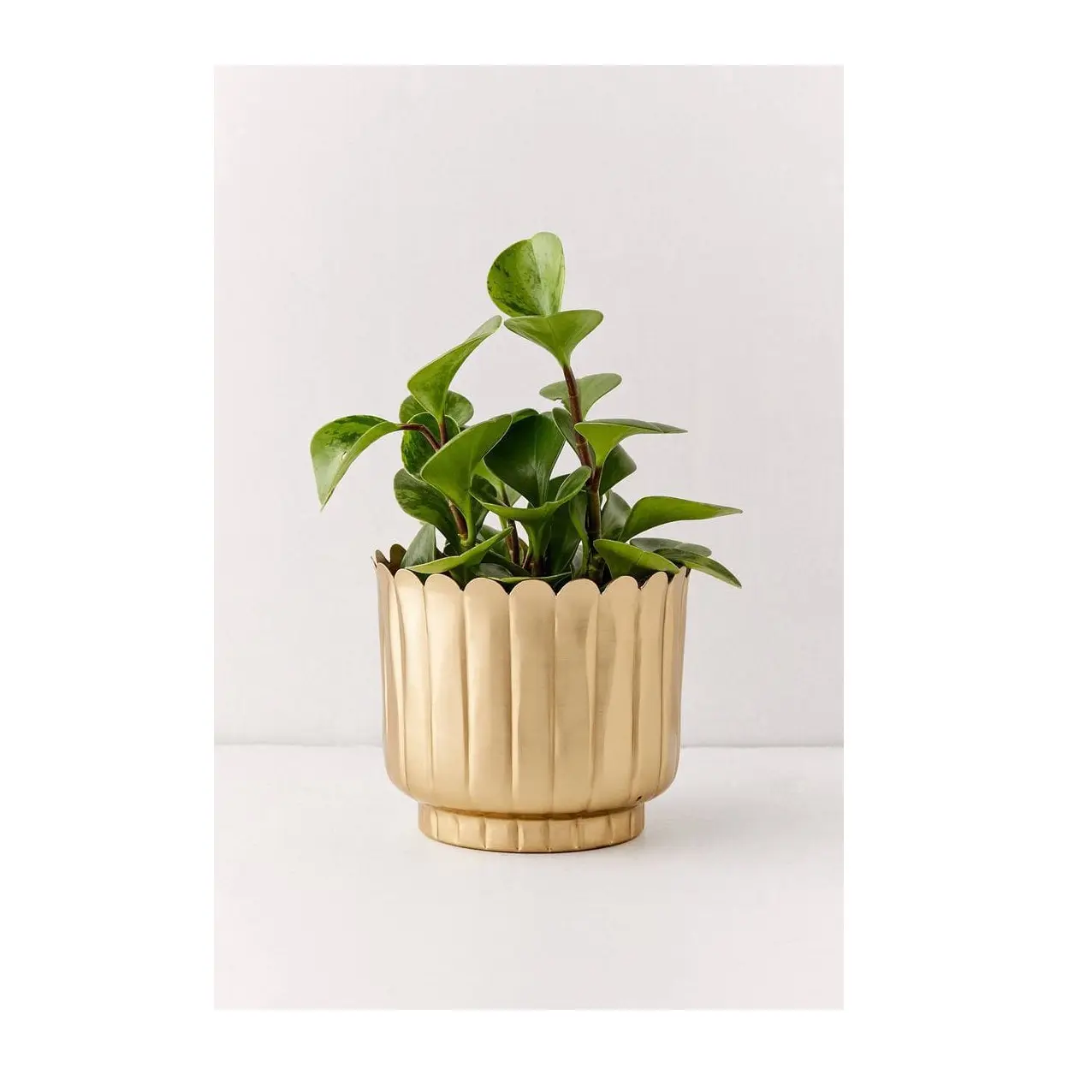 Chất lượng tuyệt vời kim loại planter khách sạn nhà hàng trang trí sân vườn thiết kế mới handmade nhà và vườn