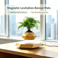 Pot à Bonsaï Magnétique Flottant Effet Bois, Pot de Fleurs en Plastique, Cadeau Personnalisé pour Décoration de Bureau et Maison