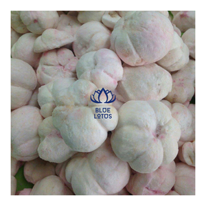 El mangostán liofilizado VENTA CALIENTE de Vietnam proporciona un refrigerio refrescante con auténtica dulzura y aroma de frutas - Product Image 1