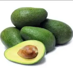 Good quality Fresh Avocado of for Sales!!! Wholesale for avocado fresh fruit with GAP HACCP