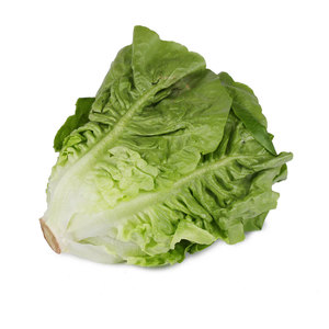 Lechugas Verduras para ensaladas, sopas, sándwiches, envolturas y parrilla: Los proveedores mayoristas y a granel más vendidos - Product Image 5