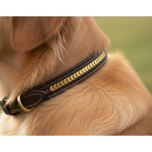 Collar de perro de cuero acolchado marrón oscuro de primera calidad con incrustaciones de Chevron dorado Impermeable Cómodo Tamaño personalizado Todas las estaciones - Product Image 2