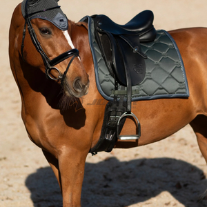 Elegante almohadilla de sillín ecuestre inglés, forro suave y transpirable, diseño acolchado duradero, soporte cómodo para almohadillas de sillín de caballos - Product Image 2