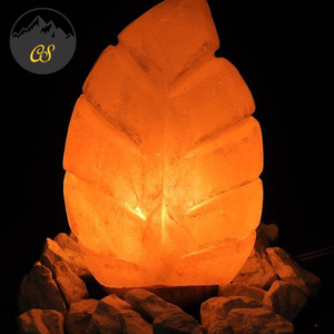 Lámpara de Sal Rosa Natural en Forma de Hoja, Portátil, con Interruptor y Regulador de Intensidad, Cable USB, Diseño Artístico de Nature's Delight - Product Image 5