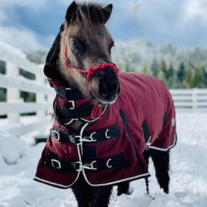 بطانية علاج الفروسية بالفوتون الحصان العلاج بالضوء الأحمر العلاج بالفرسان بطانية علاج خيول بساط تدفئة الحصان - Product Image 3