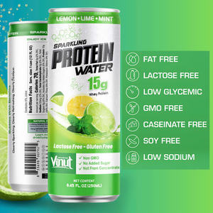 VINUT Trending Sparkling <b>Protein</b> <b>Water</b> Aroma Lemon Lime Mint 250ml Carbonated Drinks OEM ODM Customization Low MOQ Free Sample - Product Image 4