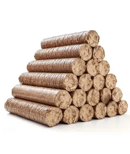 Briquette de biomasse à faible humidité et haute densité fabriquée à partir de coques d'arachides pour chaudière à vapeur, eau chaude, énergie verte durable - Product Image 4