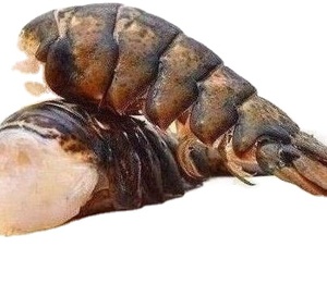 Aragosta fresca e congelata di frutti di mare, aragosta congelata, code di aragosta surgelata aragoste fresche canadesi - Product Image 3