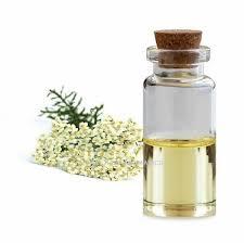 Yarrow น้ำมันหอมระเหยน้ำมันหอมระเหยธรรมชาติบริสุทธิ์100% เกรดใช้เครื่องสำอาง - Product Image 4