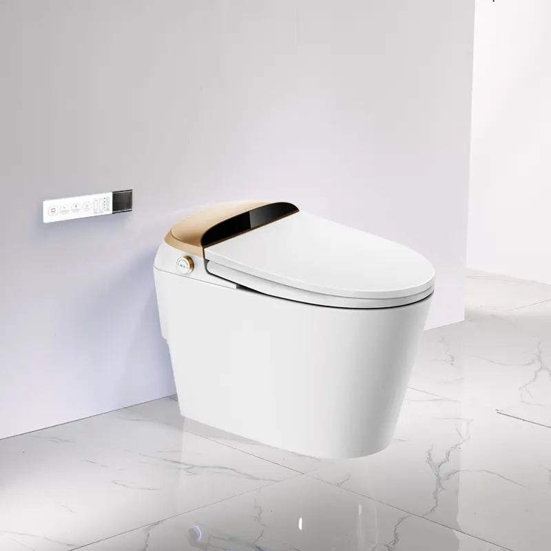 Japanese toilet intank A105 floor installation with water tank inside the Japanese wc automatic bidet for bathrooms