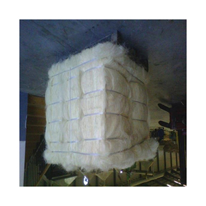 Fibra de sisal cruda para usos agrícolas, incluyendo cuerdas de Unión fuertes y flexibles. - Product Image 6