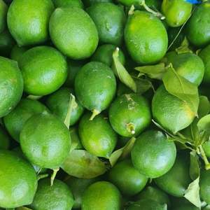 Citrons verts et jaunes frais, cultivés naturellement, fruits de citron de haute qualité en gros - Product Image 2