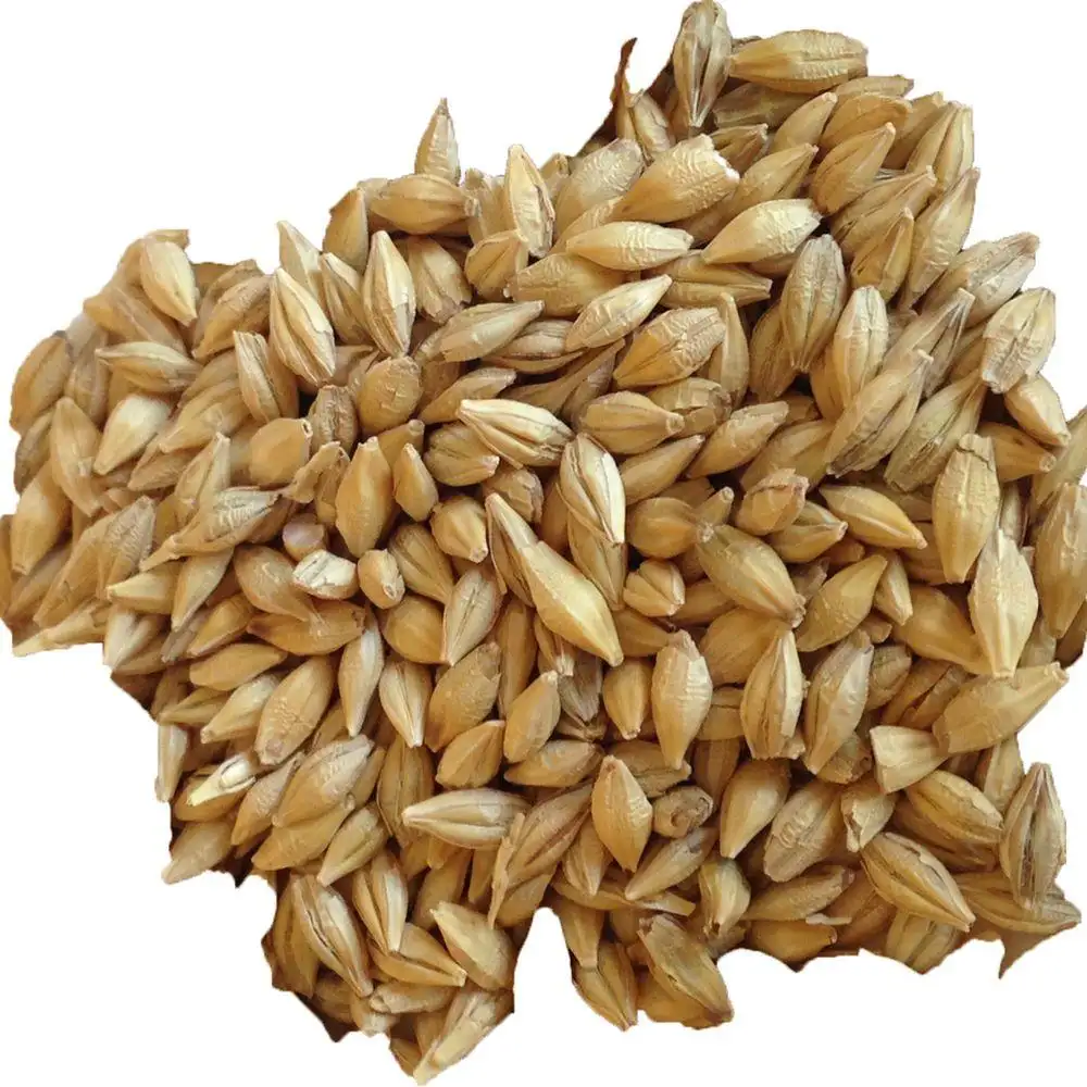 大麦マックスイエローホワイト動物カスタマイズされた作物スタイル包装色茶色起源タイプ年乾燥タンパク質供給最小壊れた